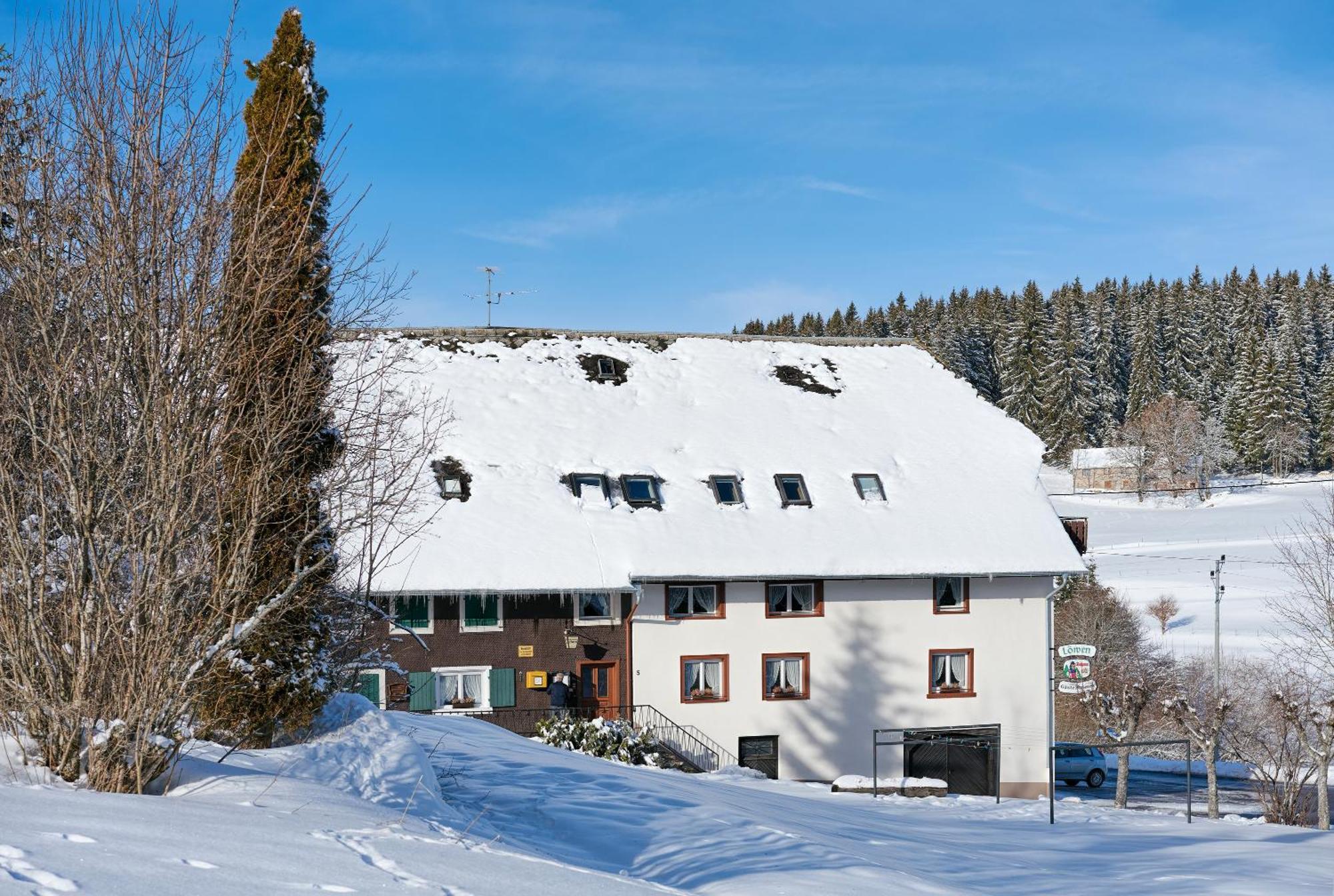 Gasthaus-Pension Zum Loewen Grafenhausen Bagian luar foto