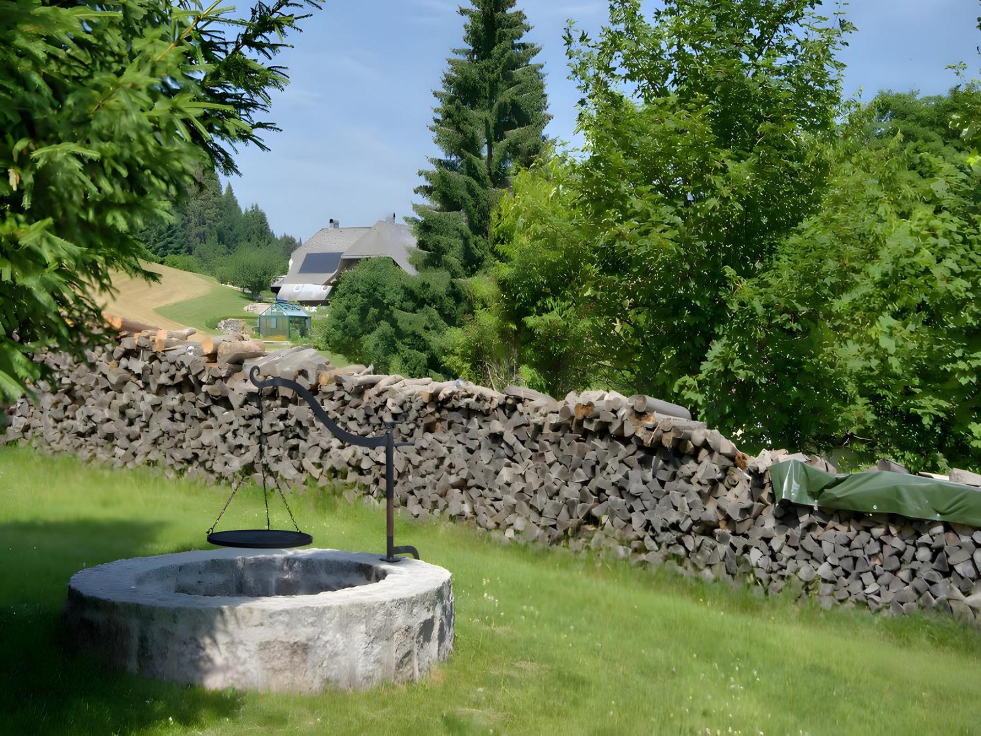 Gasthaus-Pension Zum Loewen Grafenhausen Bagian luar foto