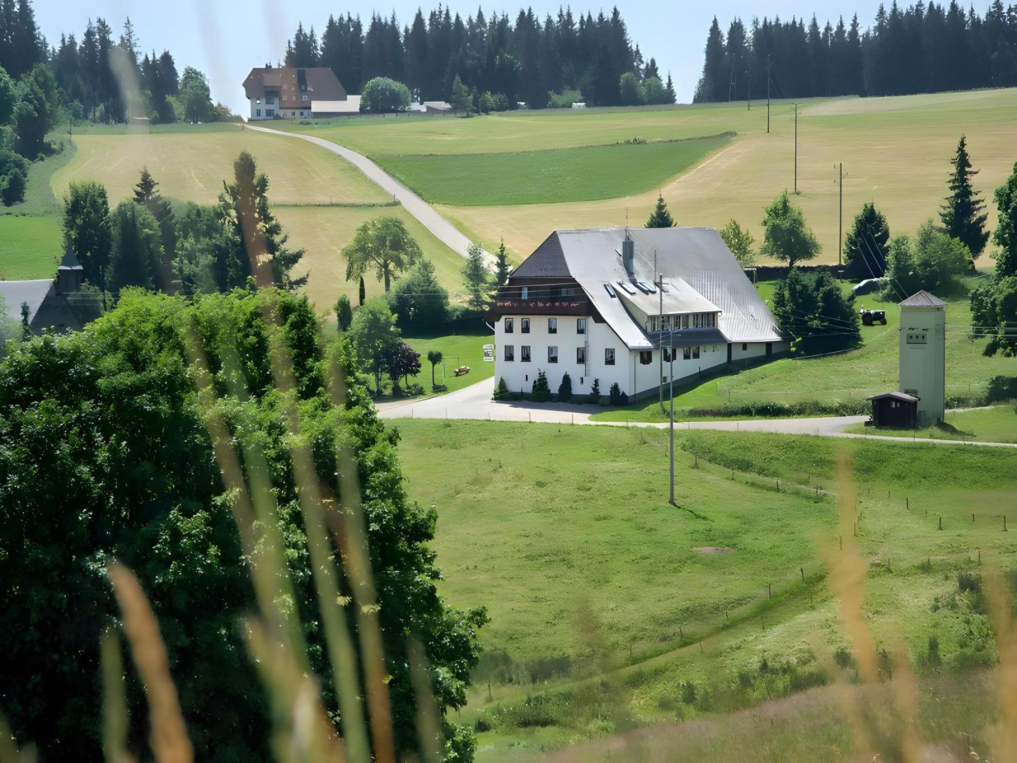 Gasthaus-Pension Zum Loewen Grafenhausen Bagian luar foto