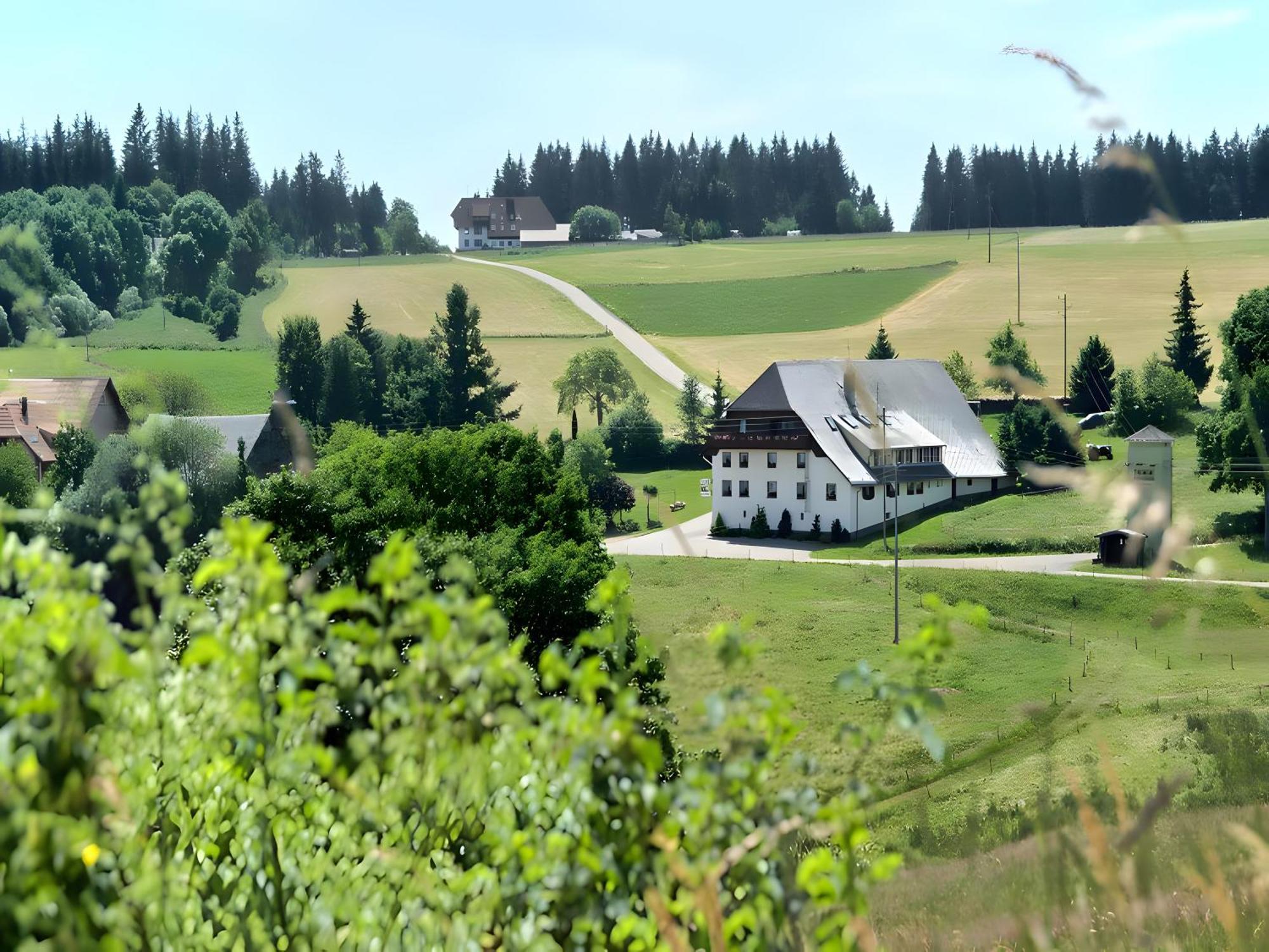 Gasthaus-Pension Zum Loewen Grafenhausen Bagian luar foto