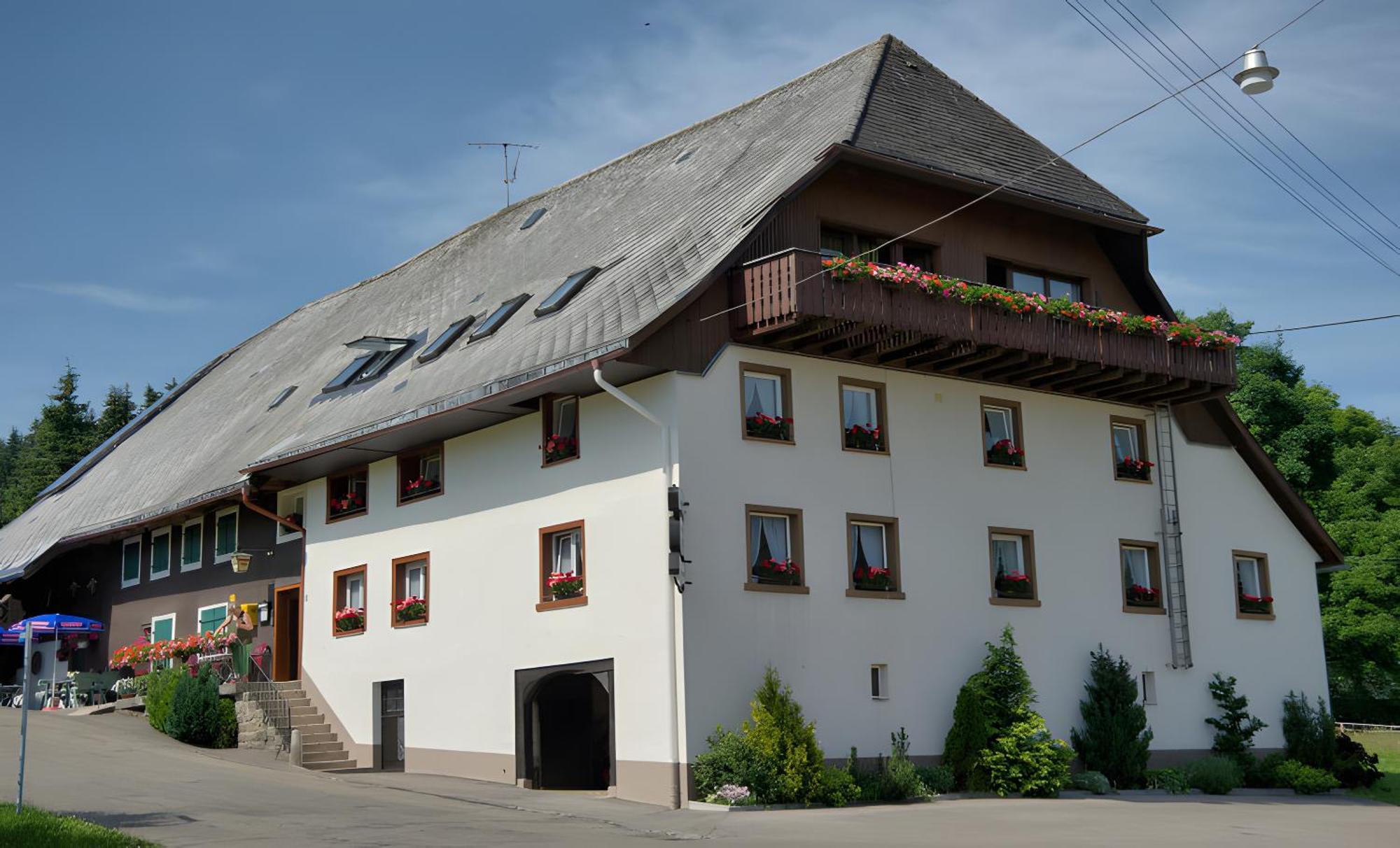 Gasthaus-Pension Zum Loewen Grafenhausen Bagian luar foto