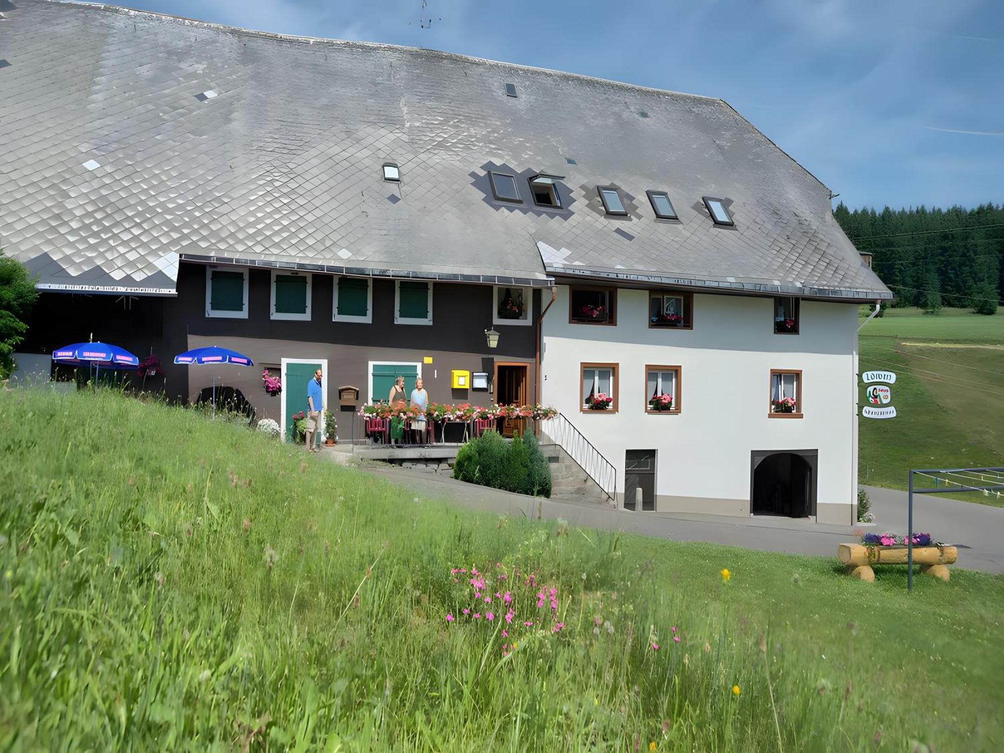 Gasthaus-Pension Zum Loewen Grafenhausen Bagian luar foto