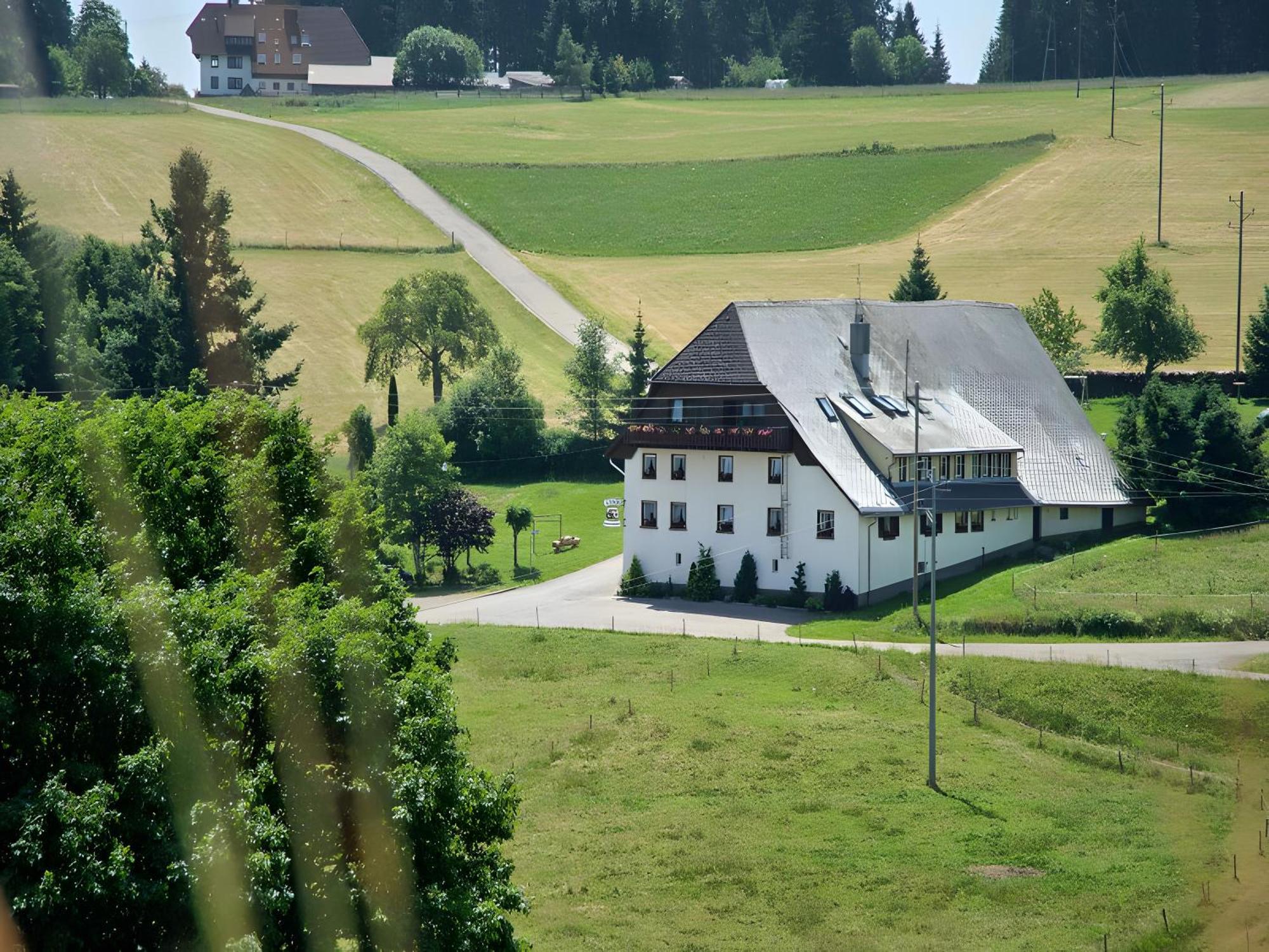 Gasthaus-Pension Zum Loewen Grafenhausen Bagian luar foto
